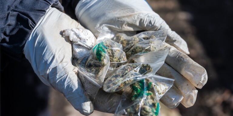 Die Polizei fand bei einem Dortmunder eine kleine Cannabis-Plantage. Jetzt steht der Mann vor Gericht.