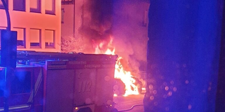 Die Aufnahme zeigt einen Einsatz der Feuerwehr beim Brand von Autos im Kaiserviertel Ende März dieses Jahres.