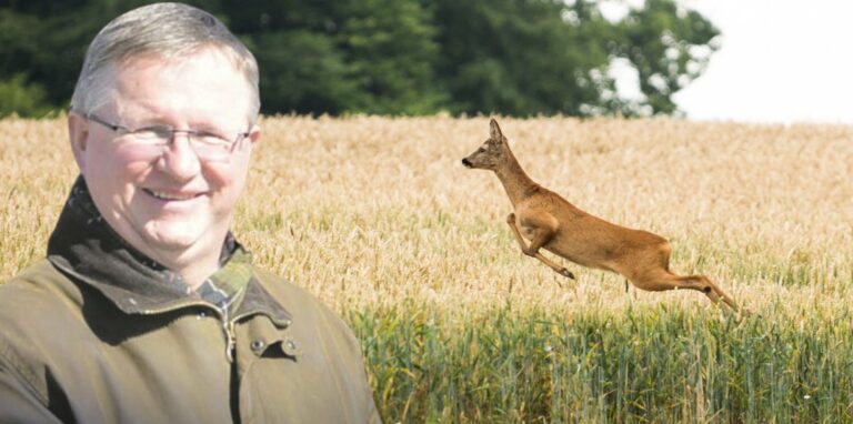 Wildunfälle passieren vor allem in der dunklen Jahreszeit. Heinz-Georg Mors weiß, worauf zu achten ist, damit wenig Unfälle passieren.