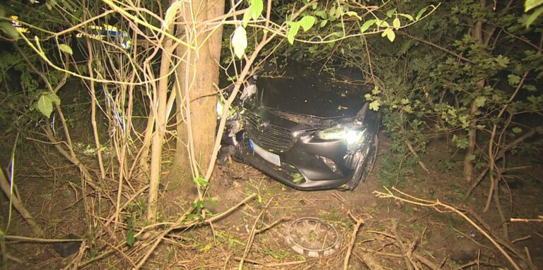 Ein Auto steht nach einer Kollision mit einem Baum beschädigt in einem Waldstück.