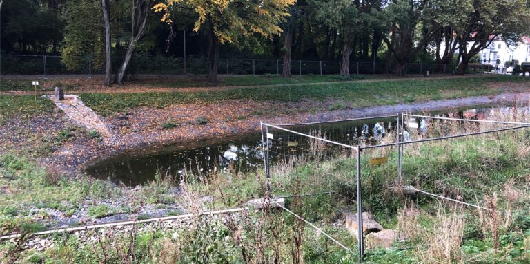 Der Teich im Bornekamp ist eine Baustelle, umgeben von Bauzäunen