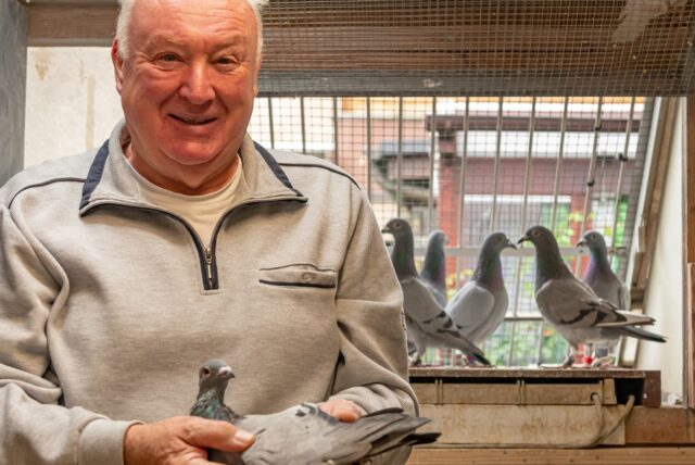 Karl Heinz Tiemann aus Lünen ist Deutscher Meister in der Kategorie „Jung-Meisterschaft“ im Taubensport geworden. Hier hält er eine seiner Spitzentauben.
