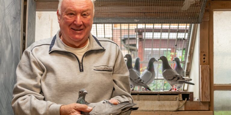 Karl Heinz Tiemann aus Lünen ist Deutscher Meister in der Kategorie „Jung-Meisterschaft“ im Taubensport geworden. Hier hält er eine seiner Spitzentauben.