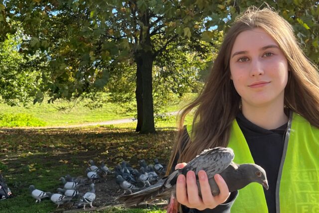 Lorena Ratzke (Vordergrund) und Michaela Belling (Hintergrund) von der Taubenhilfe Lünen/Dortmund und Umgebung kümmern sich regelmäßig um die Tiere.