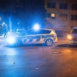 An einem Eingang zum Keuning-Park sind zwei Männer verletzt worden.