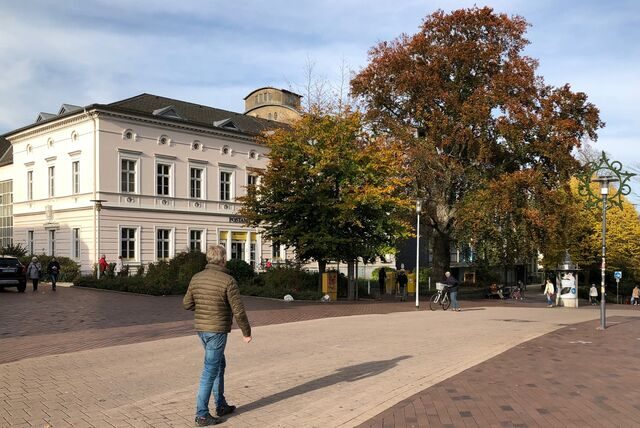 Rote Blutbuche vor der Post in Unna aus 2019.