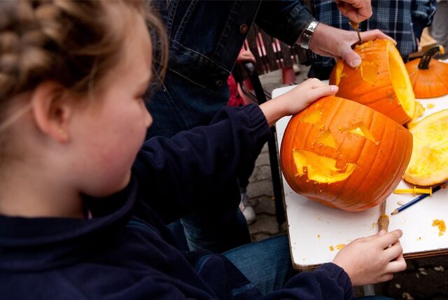 Kürbisse schnitzen (hier ein Symbolbild) können Familien und Kinder am Sonntag auf Haus Opherdicke. Auch weitere Veranstaltungen und Partys finden rund um Halloween in Holzwickede statt.