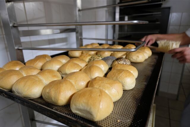 Frische Brötchen auf einem Backblech.