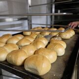 Frische Brötchen auf einem Backblech.