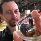 Gefroren, pochiert und geröstet – aber immer noch Mehlwürmer: Reporter Björn Althoff hat probiert.