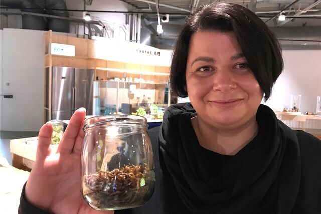 Mira Iordanova von der Broodwormfarm zeigt in der DASA: Mehlwürmer schmecken durchaus.