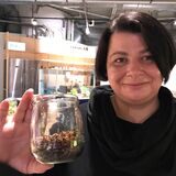 Mira Iordanova von der Broodwormfarm zeigt in der DASA: Mehlwürmer schmecken durchaus.