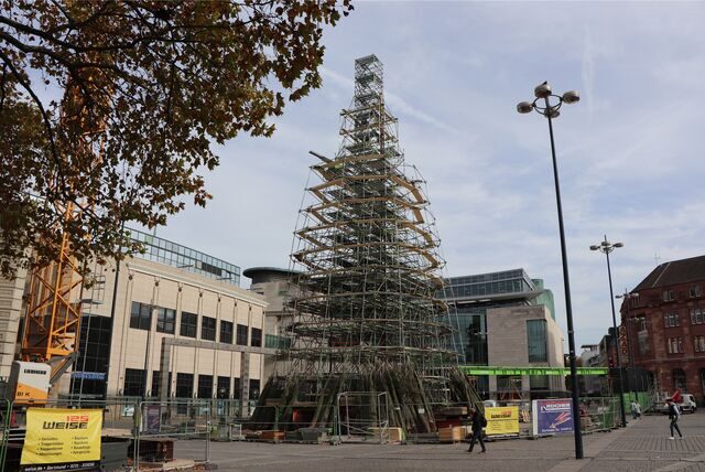 Der riesige Weihnachtsbaum wird auf dem Hansaplatz aufgebaut.