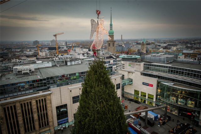 Am Freitag wird die Dortmunder Riesen-Tanne fertig.