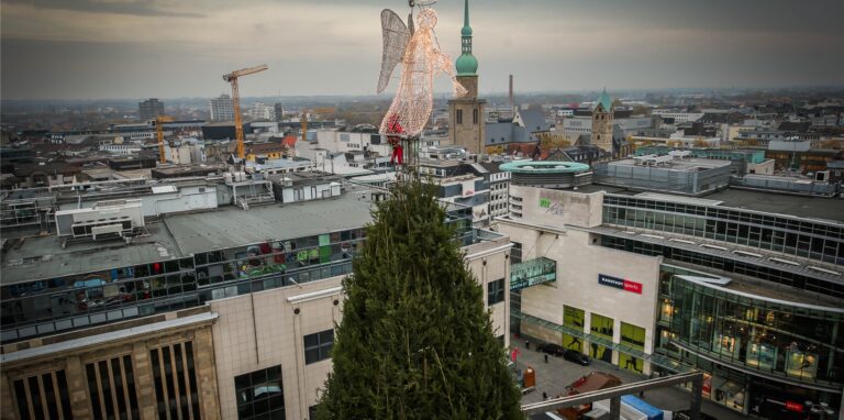 Am Freitag wird die Dortmunder Riesen-Tanne fertig.