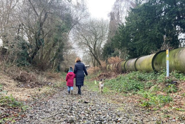 Als Spazierweg wird der Hoesch-Hafenbahn-Weg durch die Gartenstadt bereits genutzt. Bis zum Radweg ist es aber noch weit.