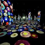 Phoenix des Lumiéres heißt die Halle auf Phoenix-West, in der es künftig spektakuläre Digitalkunst zu sehen geben soll.