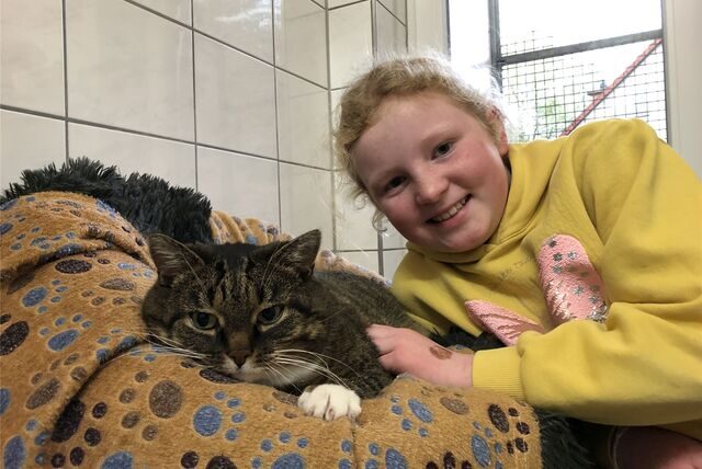 Lilla (9) Katze Pia im Tierheim Schwerte