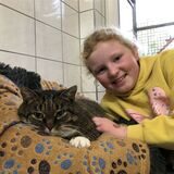 Lilla (9) Katze Pia im Tierheim Schwerte