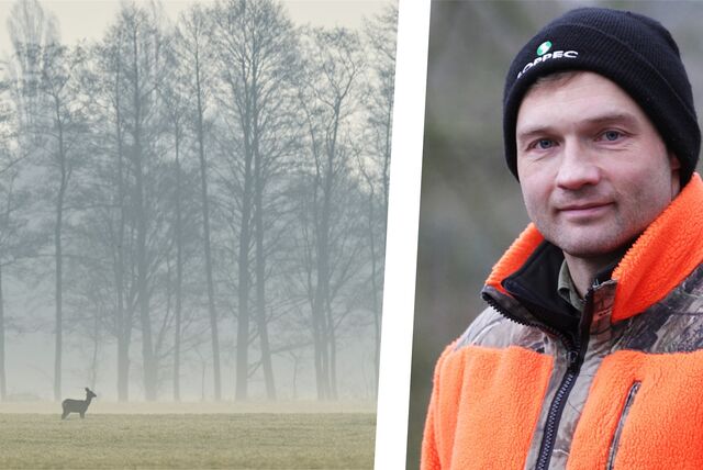 Ein Reh auf der Wiese, daneben im Bild Jäger Elmar Berks