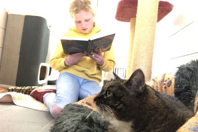 Leserunde im Tierheim: Wir haben Lilla und ihre Patenkatze Pia besucht.