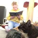 Leserunde im Tierheim: Wir haben Lilla und ihre Patenkatze Pia besucht.