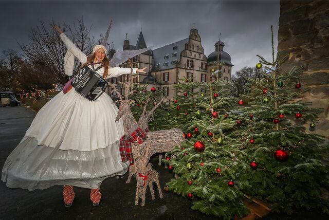 Zur traumhaften Kulisse für einen ganz besonderen Weihnachtsmarkt werden am ersten Advents-Wochenende wieder das Schloss Bodelschwingh und der Schlosspark.