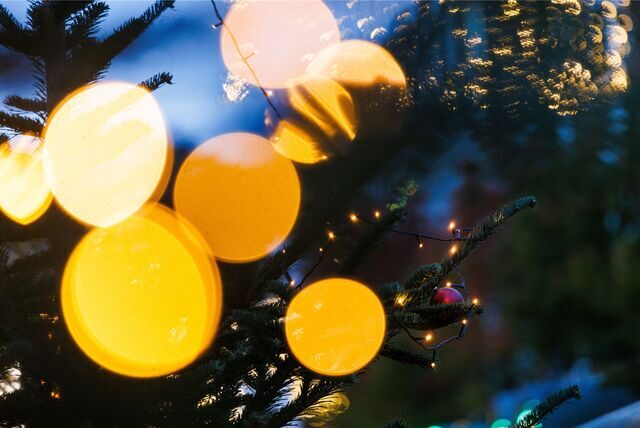Eine Lichterkette hängt bei einem Weihnachtsmarkt an einem Weihnachtsbaum.