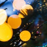 Eine Lichterkette hängt bei einem Weihnachtsmarkt an einem Weihnachtsbaum.