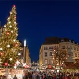 Ein großer, geschmückter Weihnachtsbaum steht auf dem Weihnachtsmarkt in Bielefeld.