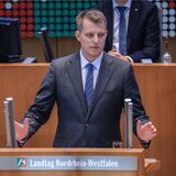 Henning Höne (FDP), Fraktionsvorsitzender