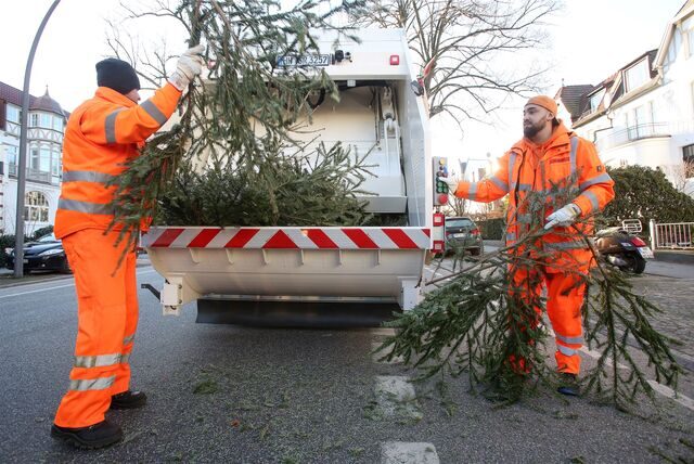 Auch in Werne werden im Januar Weihnachtsbäume abgeholt (Symbolbild).