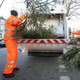 Auch in Werne werden im Januar Weihnachtsbäume abgeholt (Symbolbild).