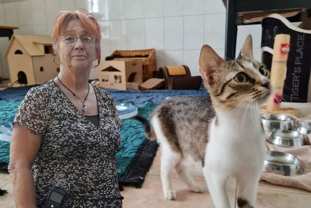 Bei den Tierfreunden Kamen wird es vor allem aufgrund von gestiegenen Kosten immer voller. Und das führt zu erheblichen Problemen, wie Ellen Heckmann berichtet (Archivbild).