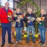Hans-Ulrich Strunk, Heike Pawlowski, Dieter Gottschewski und Janina Thalken vom RGZV Lünen halten Hühner im Arm.