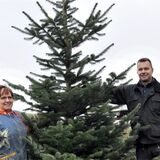 Mann hält Weihnachtsbaum