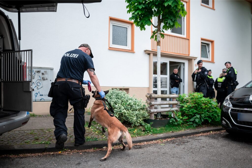 Ein Bombenspürhund vor einem Haus in Essen. Uniformierte Polizisten stehen davor und beobachten den Hund. Ein Bombenspürhund vor einem Haus in Essen. Uniformierte Polizisten stehen davor und beobachten den Hund.
