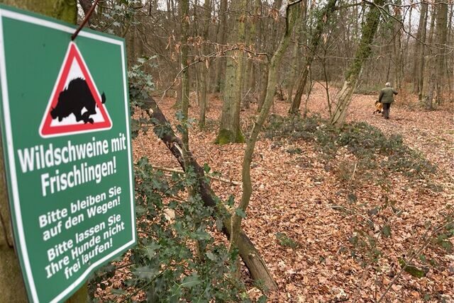 Im Langerner Wald hängen Schilder, die vor Wildschweinen mit Frischlingen warnen.