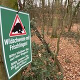 Im Langerner Wald hängen Schilder, die vor Wildschweinen mit Frischlingen warnen.