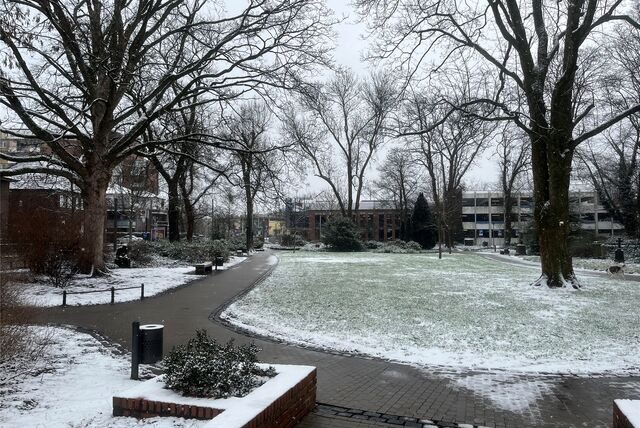 Der Tobiaspark ist am Sonntag (22.1.) von einer leichten Schneeschicht bedeckt