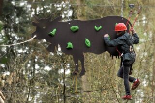 Kletterwald