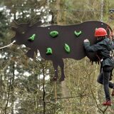 Kletterwald