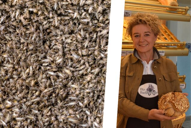 Jutta Schulze Bisping neben einem Haufen Hausheuschrecken.
