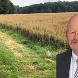 Makler Rüdiger Kappenstein steht auf dieser Montage vor einem Getreidefeld in Fröndenberg. Hier soll das Neubaugebiet „Auf dem Buhrlande“ entstehen.
