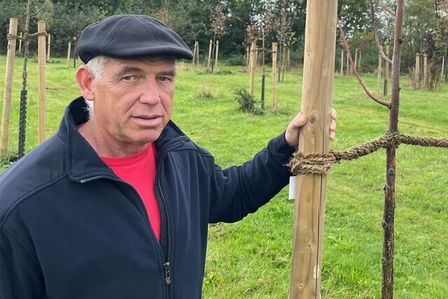 Armin Nedomansky und Tanja Flormann von der Gemeinde Holzwickede zeigen die eingegangenen Bäume im Bürgerwald in Opherdicke.
