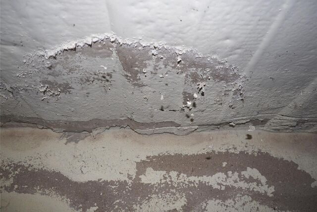 Feuchte Stellen und Schimmel an Kellerdecke