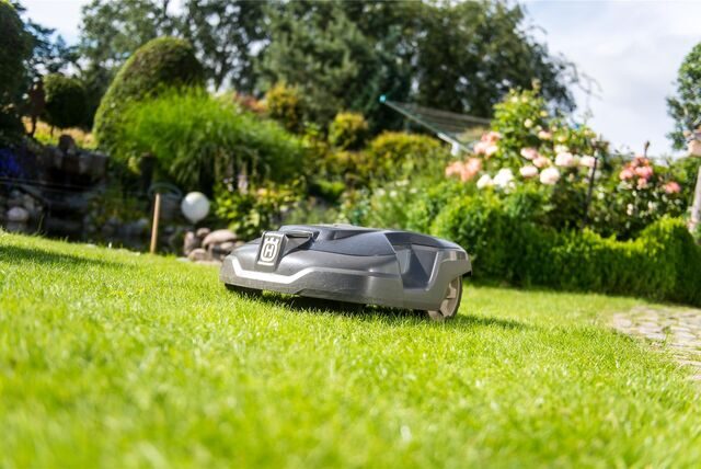 Ein Mähroboter fährt über eine Wiese