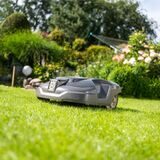 Ein Mähroboter fährt über eine Wiese