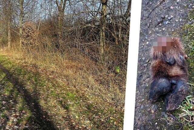 An einem Weg in Unna hat ein Spaziergänger einen irritierenden Fund gemacht: den abgetrennten Fuß eines Huftiers.