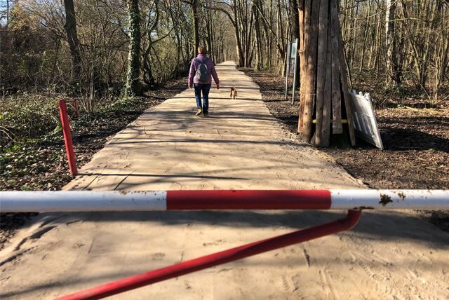 Der neue Rettungsweg durch das Beverseegebiet.